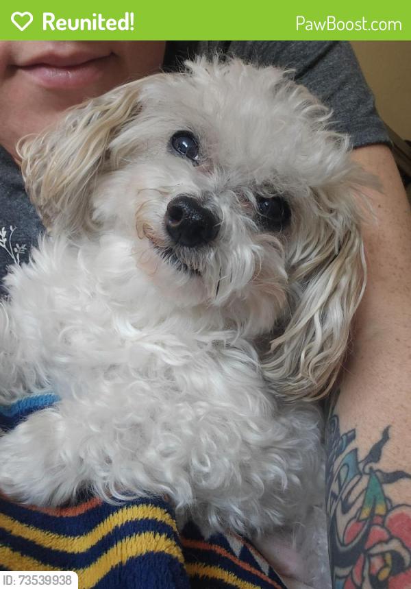 Reunited Male Dog last seen Near NE 36th Ave, Vancouver, WA 98665