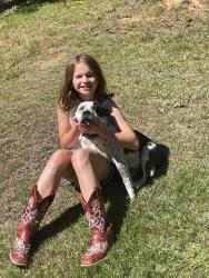 Lost Male Dog last seen Dalton Rd, Marietta, SC 29661