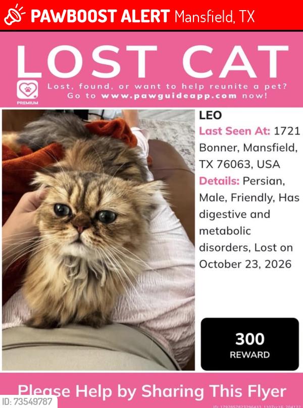 Lost Male Cat last seen Bonner dr & Retta rd / Retta ests, Mansfield, TX 76063