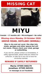 Lost Female Cat last seen Grove Road, Hoylake, England CH47 2DS