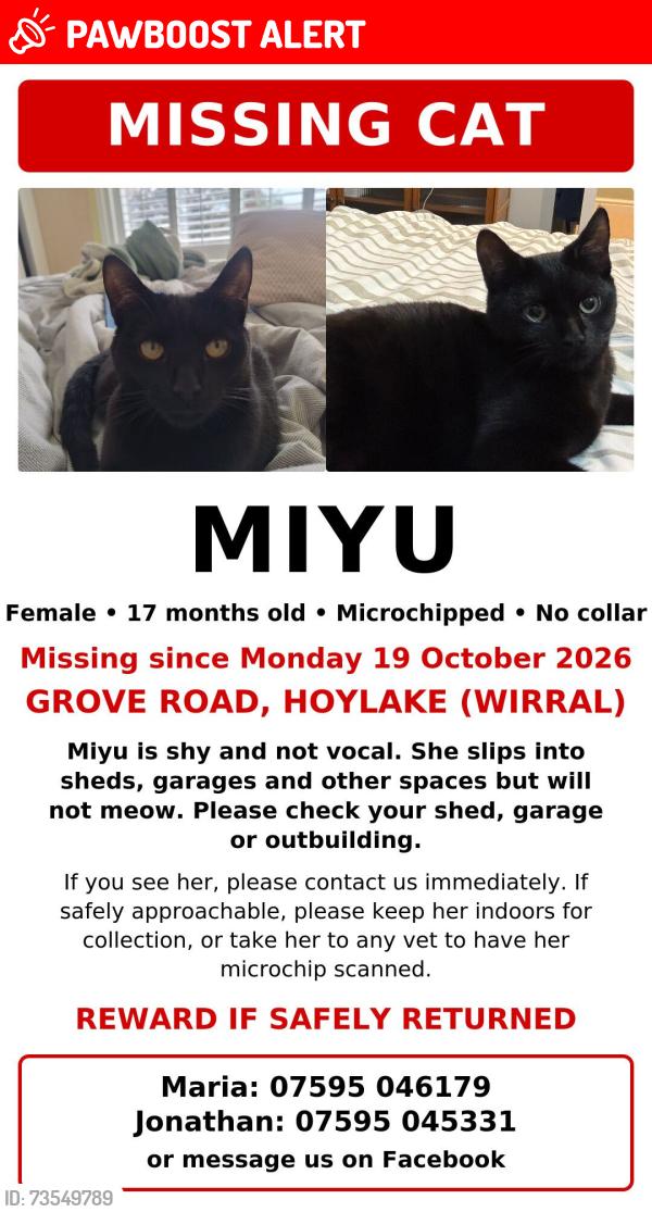 Lost Female Cat last seen Grove Road, Hoylake, England CH47 2DS