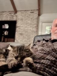 Reunited Male Cat last seen Liberty rd S, Salem, OR 97306