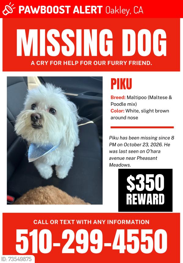 Lost Male Dog last seen O’hara Ave, Kay Ln, Oakley, CA 94561