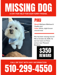 Lost Male Dog last seen O’hara Ave, Kay Ln, Oakley, CA 94561