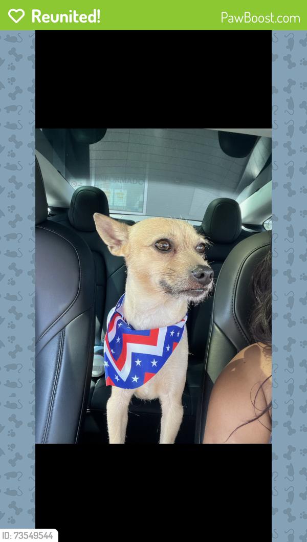 Reunited Male Dog last seen Near Cimarron St, Los Angeles, CA 90047, USA, Los Angeles, CA 90047