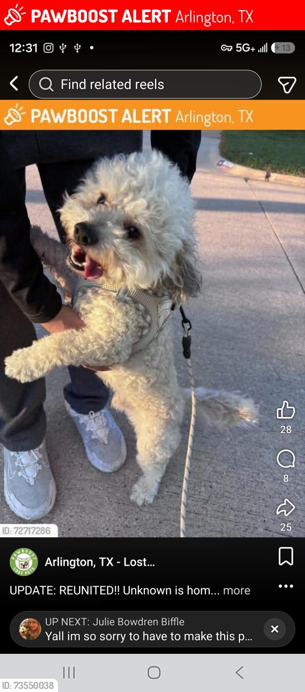 Lost Male Dog last seen Near blueleaf drive, Arlington, TX 76018