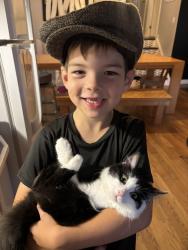 Lost Female Cat last seen Huron and highbury, London, ON 