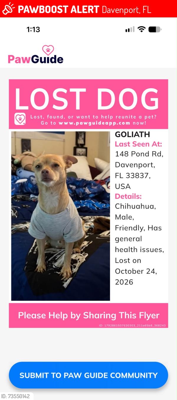 Lost Male Dog last seen Near pond rd, Davenport, FL 33837
