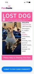 Lost Male Dog last seen Near pond rd, Davenport, FL 33837