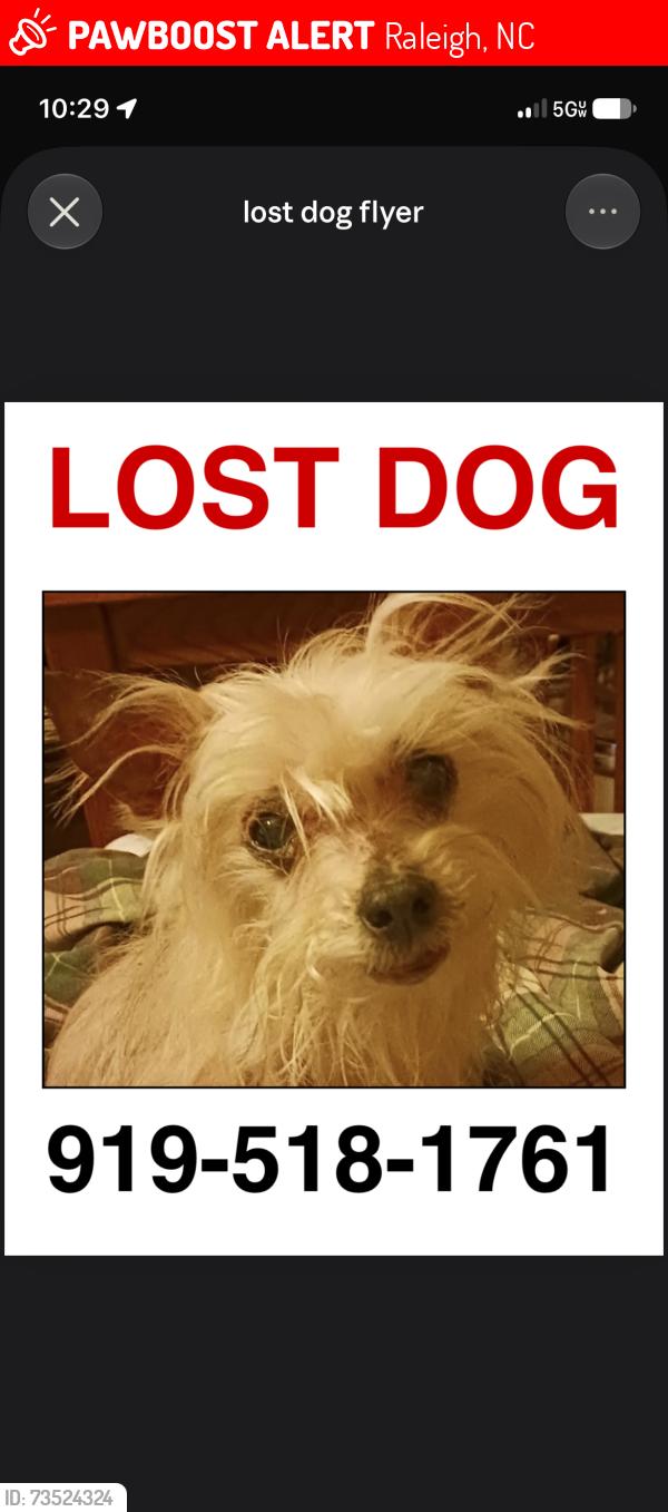 Lost Female Dog last seen Ravens Point Circle and Raven Ridge, Raleigh, NC 27614