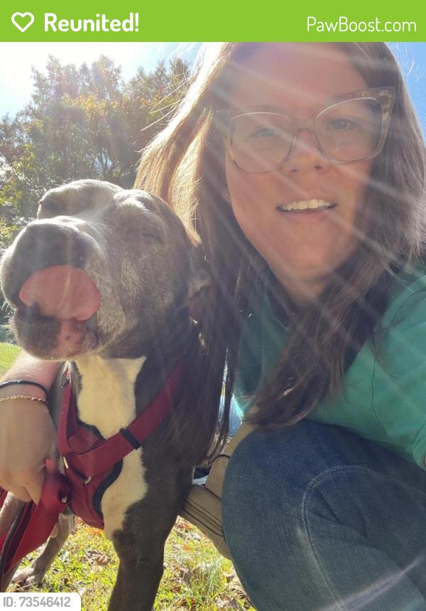 Reunited Female Dog last seen Hadaway rd, Kennesaw, GA 30152
