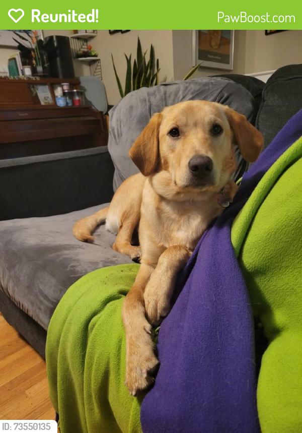 Reunited Female Dog last seen Raleigh Ln NE, Spring Lake Park, MN 55432, USA, Spring Lake Park, MN 55432