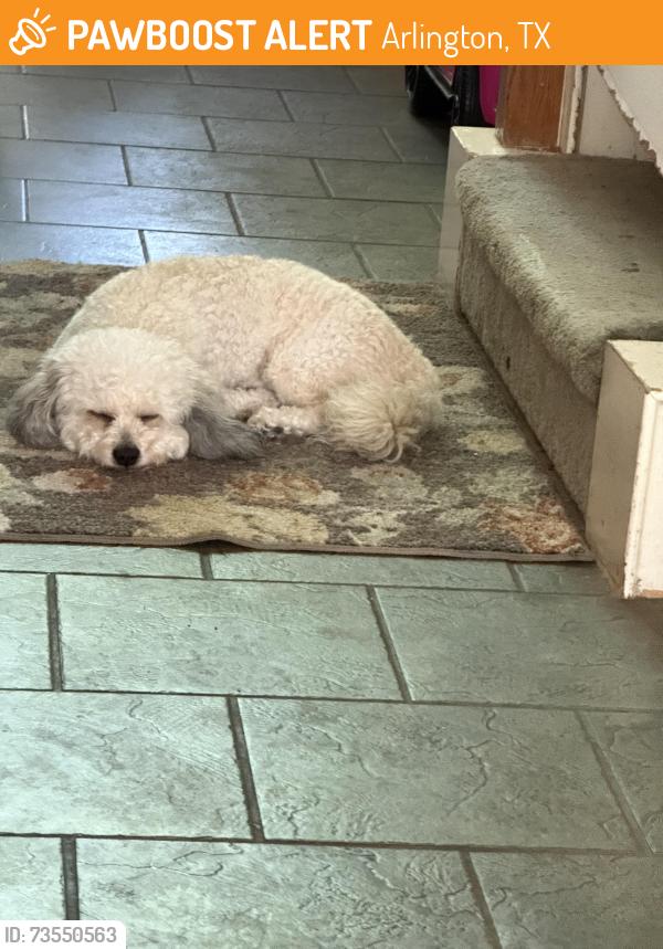 Found/Stray Male Dog last seen Yaupon drive and se green oaks blvd, Arlington, TX 76018