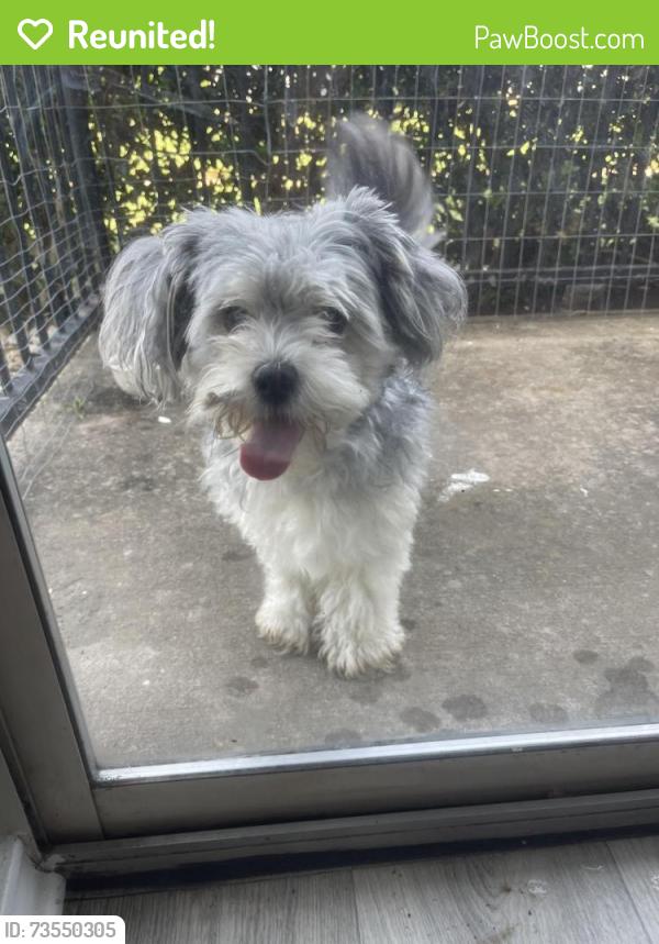 Reunited Male Dog last seen At Cleburne Terrace apmts, Cleburne, TX 76033