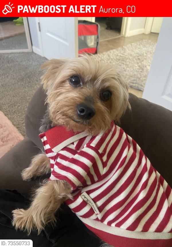 Lost Male Dog last seen Genoa, Aurora, CO 80013