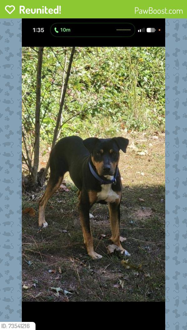 Reunited Male Dog last seen Near Simpson Rd, White, GA 30184, USA, White, GA 30184