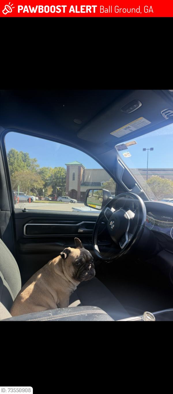 Lost Female Dog last seen Near Ball Ground Rd Ball Ground, GA 30107 Estados Unidos, Ball Ground, GA 30107