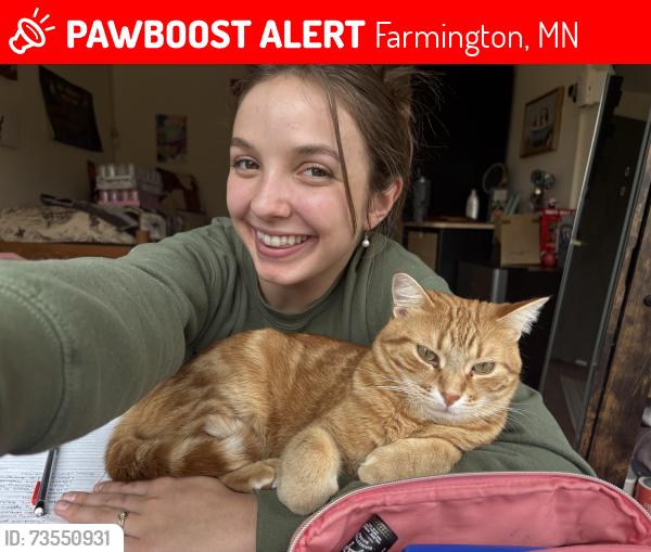 Lost Male Cat last seen GlenHaven Event Center, Farmington, MN 55024