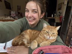 Lost Male Cat last seen GlenHaven Event Center, Farmington, MN 55024