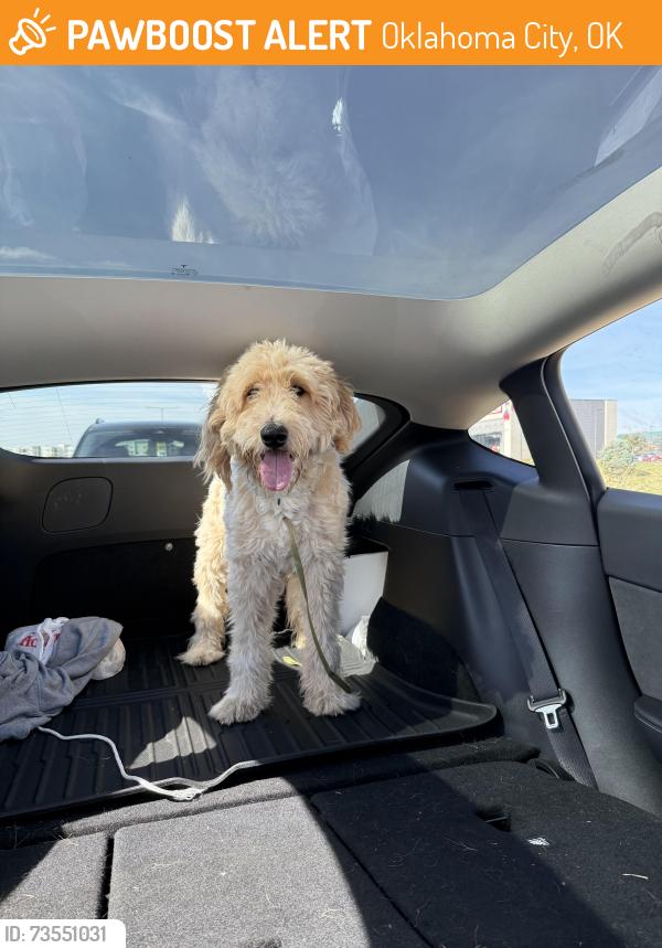 Found/Stray Male Dog last seen NW 122nd st and county line, Oklahoma City, OK 73162