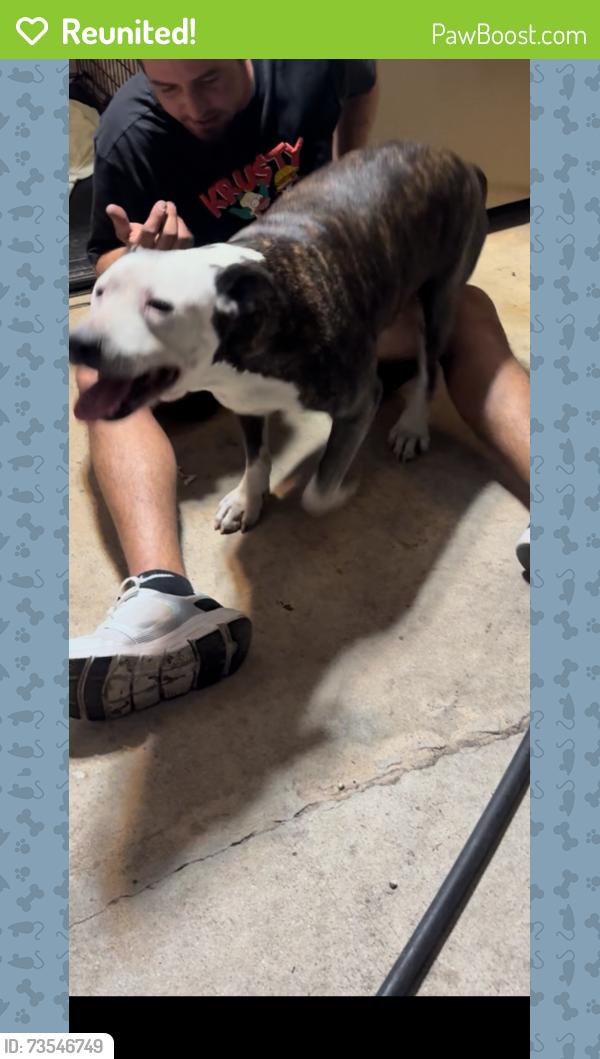 Reunited Male Dog last seen Sw 117 ave and coral reef xeuve, Three Lakes, FL 33177