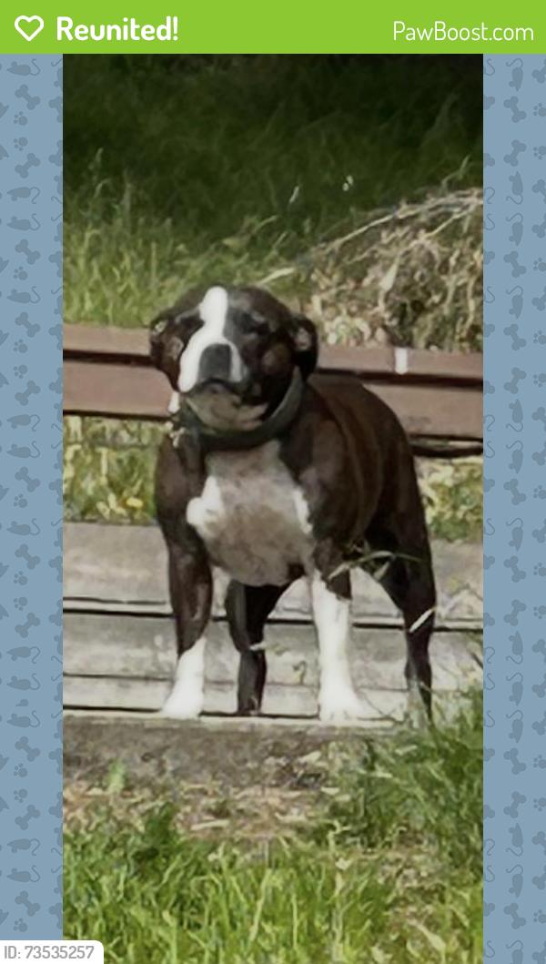 Reunited Female Dog last seen Halls road, Whittlesea, VIC 3757