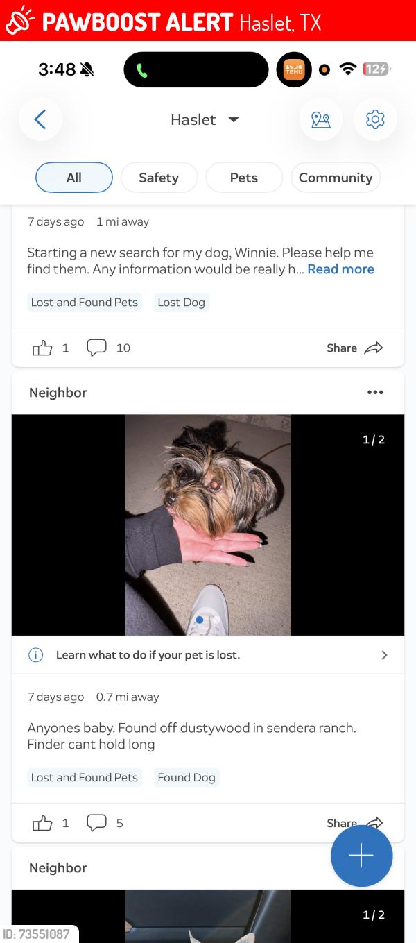 Lost Female Dog last seen Near Dustwood Dr, Haslet, TX 76052