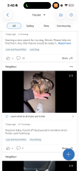 Lost Female Dog last seen Near Dustwood Dr, Haslet, TX 76052