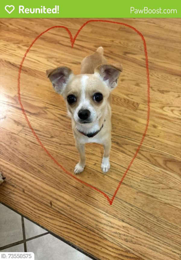 Reunited Male Dog last seen Fair Oaks blvd, crated at bus stop near apmt complex, Sacramento, CA 95825