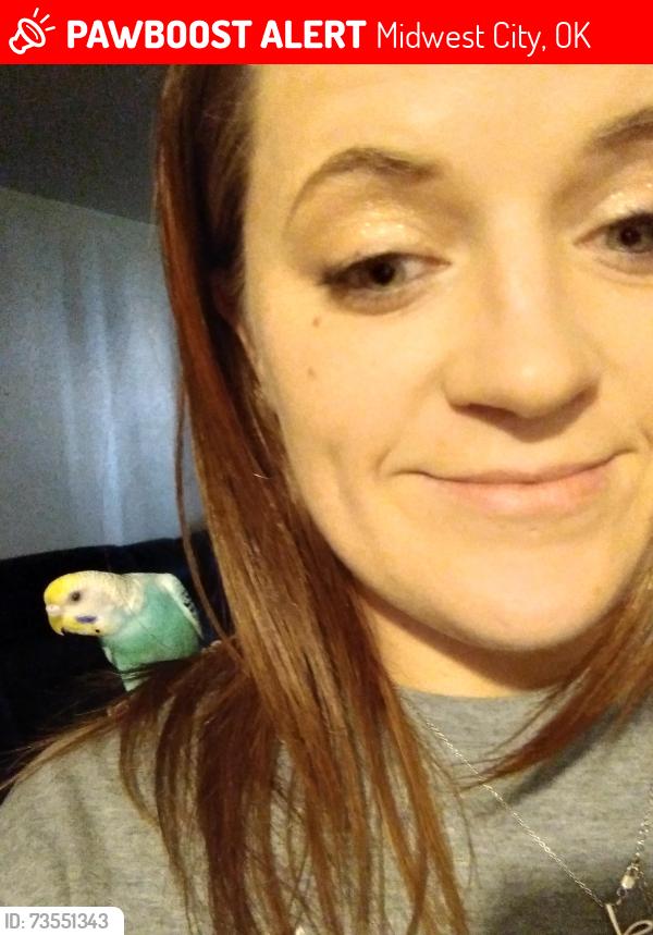 Lost Female Bird last seen 23rd and air depot blvd, Midwest City, OK 73110