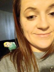 Lost Female Bird last seen 23rd and air depot blvd, Midwest City, OK 73110