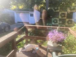 Found/Stray Unknown Cat last seen E 222nd St., E. 215th St., Euclid, OH 44123