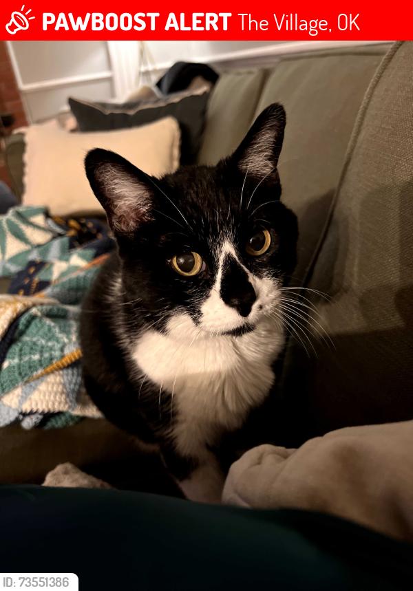 Lost Female Cat last seen Berkshire & W Britton, The Village, OK 73120