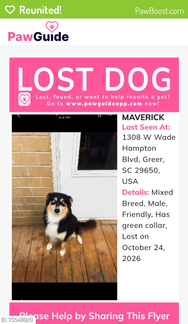Reunited Male Dog last seen Near W Wade Hampton Blvd, Greer, SC 29650, Greer, SC 29650