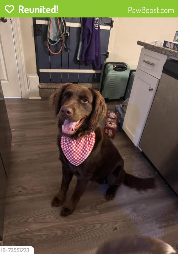 Reunited Male Dog last seen Section hse RD, Hickory, NC 28601