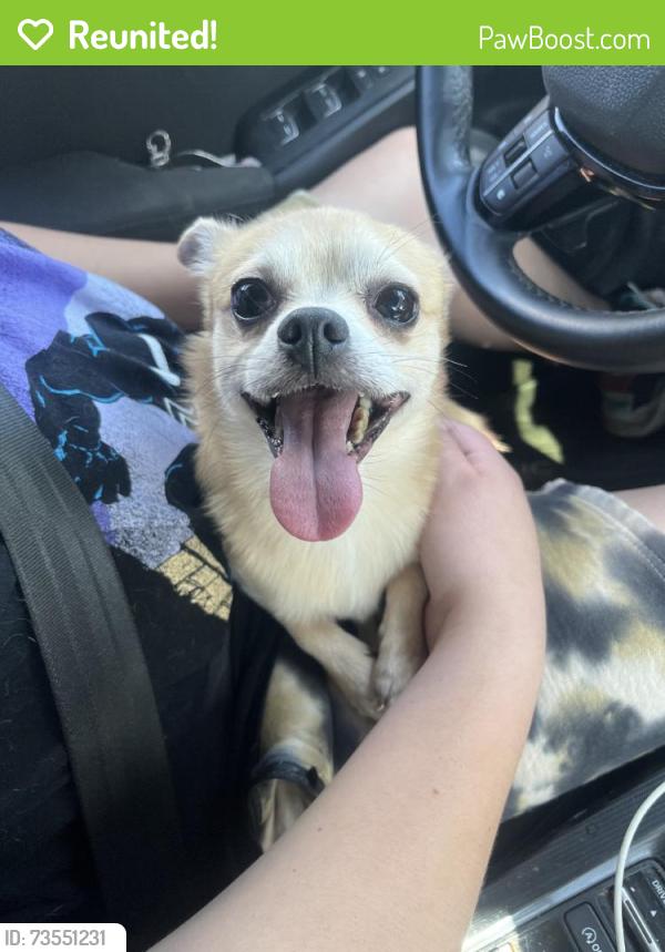 Reunited Male Dog last seen Buckner Blvd, Dallas, TX, USA, Dallas, TX 75227