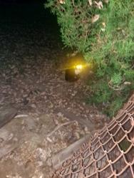 Found/Stray Unknown Cat last seen St francis de sales parking lot, Parma, OH 44134