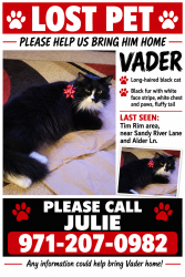 Reunited Male Cat last seen Sandy River Lane, Alder Ln Rhododendron, Rhododendron, OR 97049