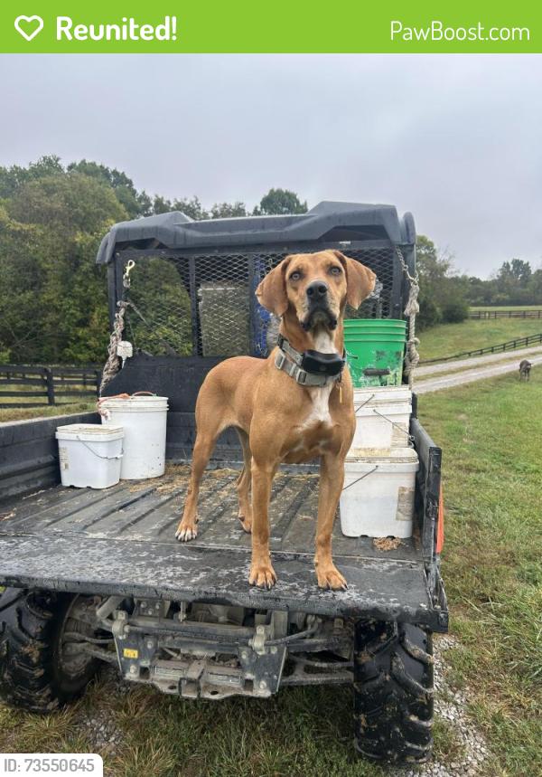 Reunited Female Dog last seen Willowbank farm, Simpsonville, KY 40067