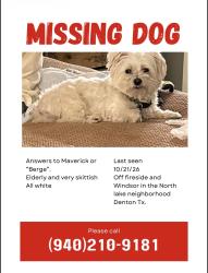 Lost Male Dog last seen On Parkside between Windsor & Auburn, Denton, TX 76201