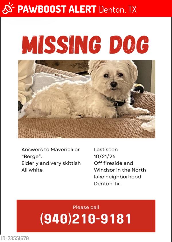 Lost Male Dog last seen On Parkside between Windsor & Auburn, Denton, TX 76201