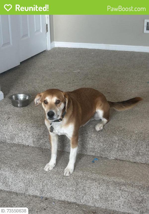 Reunited Male Dog last seen Willowbank Farm, Simpsonville, KY 40067