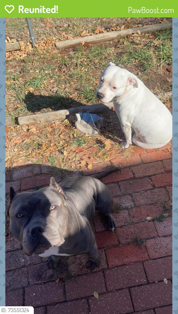 Reunited Female Dog last seen Near Clifton & Lincoln, Wichita, KS 67218