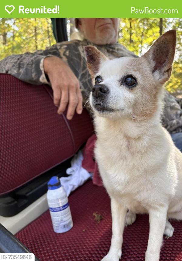 Reunited Female Dog last seen NC 22 HWY, Robbins, NC, NC-22, NC 27208