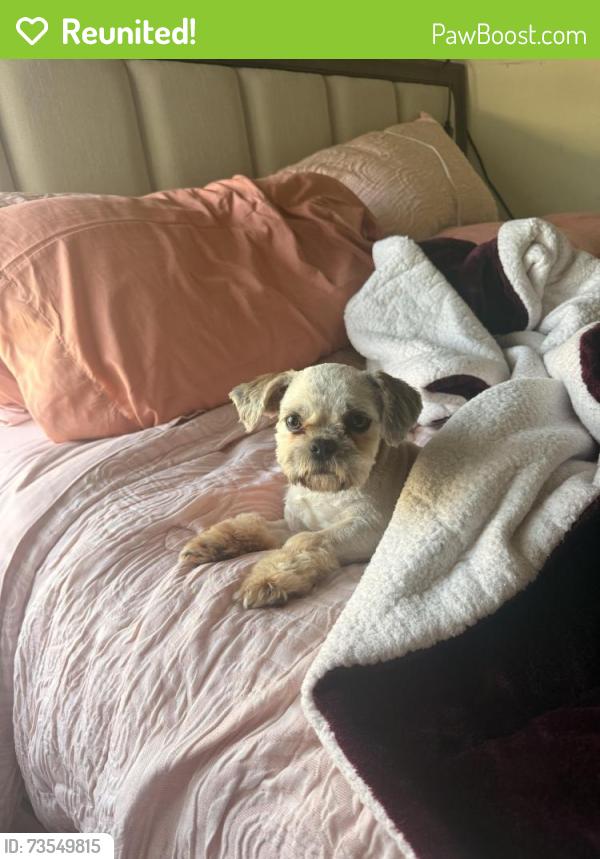 Reunited Female Dog last seen Martin ave, Greensboro, NC 27405