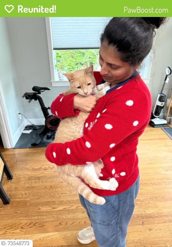 Reunited Male Cat last seen 223rd Ave se Sammamish, 32nd, Sammamish, WA 98075