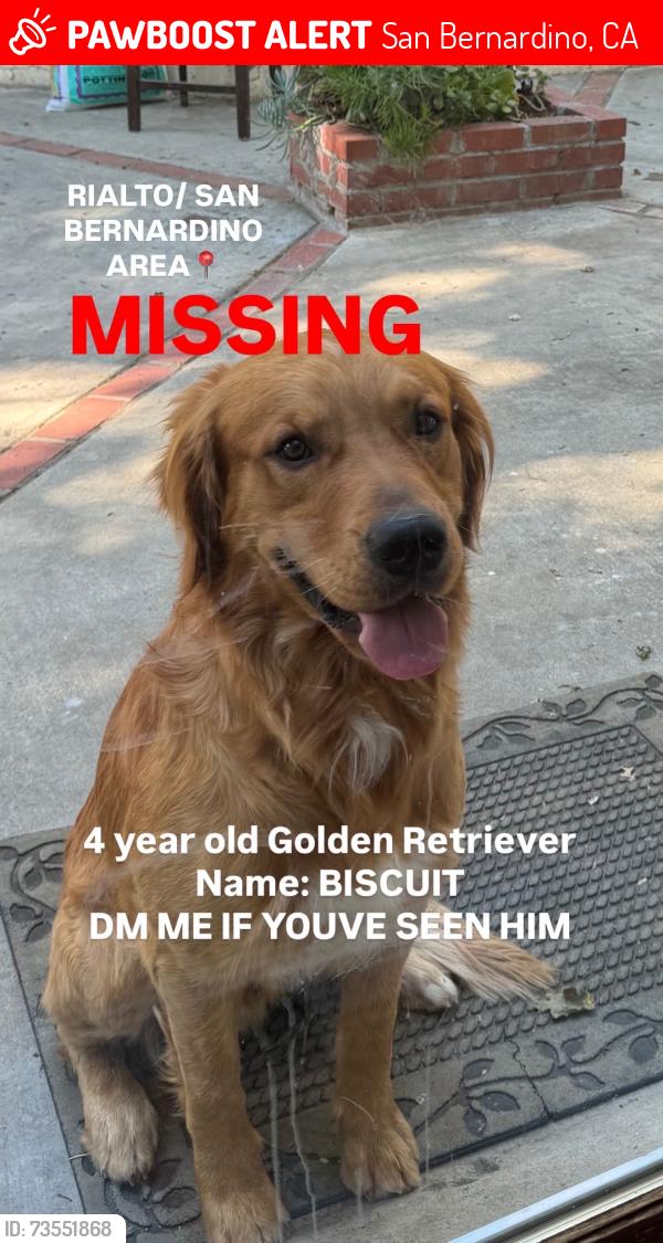 Lost Male Dog last seen Meridian and Baseline, San Bernardino, CA 92410