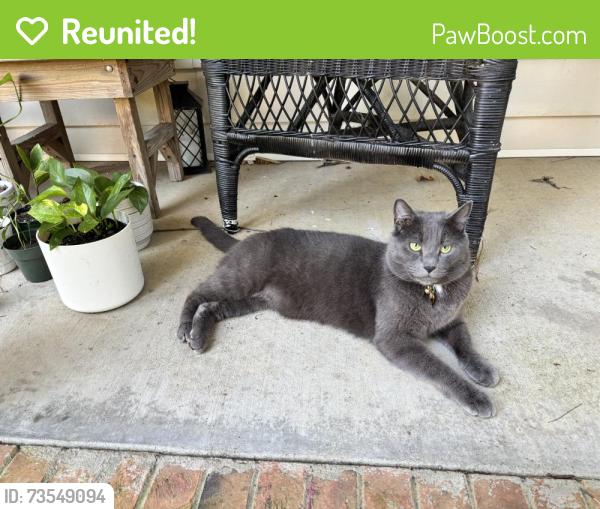 Reunited Male Cat last seen Hunters Run area of Coats NC, Coats, NC 27521