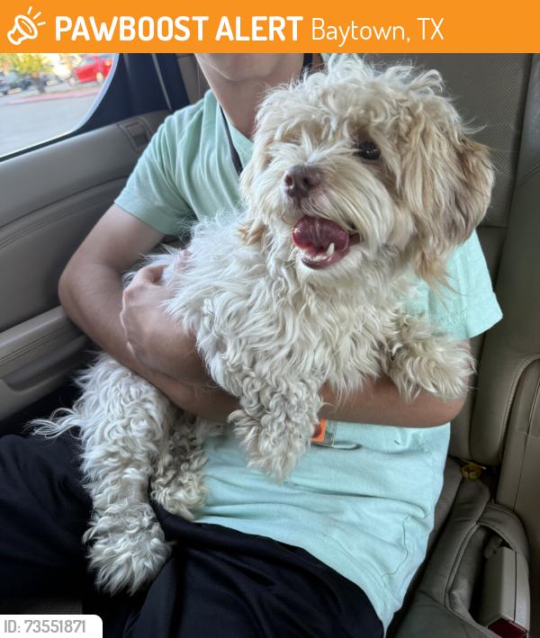 Found/Stray Male Dog last seen Baker Road, Baytown, TX 77521