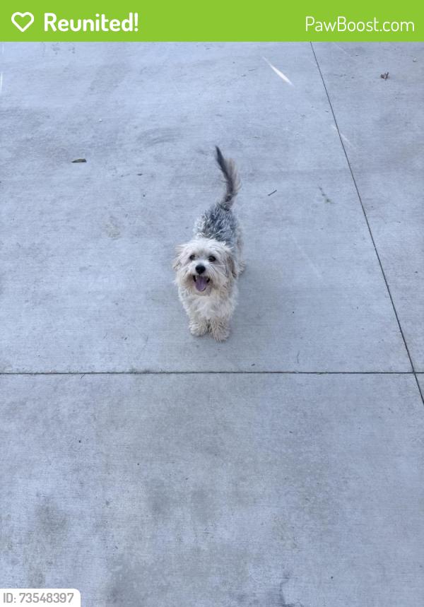 Reunited Male Dog last seen near van maren ln and calvin dr, Citrus Heights, CA 95621